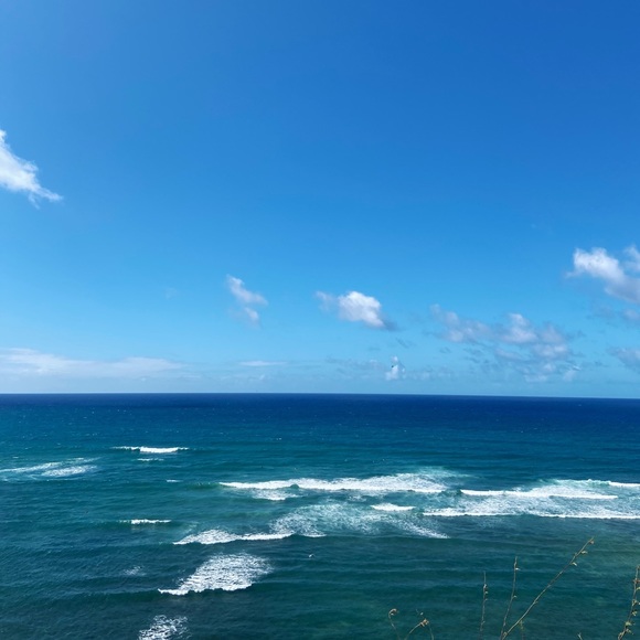 Meet your Posher, Tayler - Picture 1 of 1